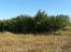 4fprqXl06hDDRHg-Owpc6Xu3hZo-VKEC.jpg