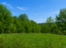 JgtEGGAcqql-BbM_IeTC6urndKTe8ffv.jpg