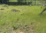 ELBbxL_pYg-8rACDcoE61rd0OxnB9Rf9.jpeg