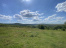 vCt_cLzCveLq61I1WnpfLOENwYUBRwYR.jpeg