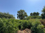 1tOmAue_GuzxFTCm2Jqr-QTD-DtCc450.jpg