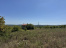 6Nj1iTARka_06B5CQm--T3riGwZn7Xig.jpg