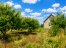 iuaoa1gRnPhy_2-AvGSF244NURq9H0hV.jpg