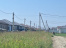 scf7UUKY7oCmGEAZ9lInTvmz64Pl6pGp.jpg