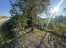 Mg-7jUOCHx9lV_VPFZ76EX2jSyi9E5RF.jpeg