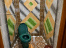 b9tz7_rEm1eMhS_2XgZFy4fx0qOru2CA.jpg