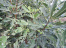 stVj0pQV76mi3YgDv97Yyx9qb8EceDKH.jpg
