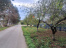 nhoekjQ7kVqv3kPS1hWeUcXLy-Wik4tD.jpg