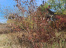 iW-f2CazIHU1h-HByCWJ9wlA7zyojnrd.jpg